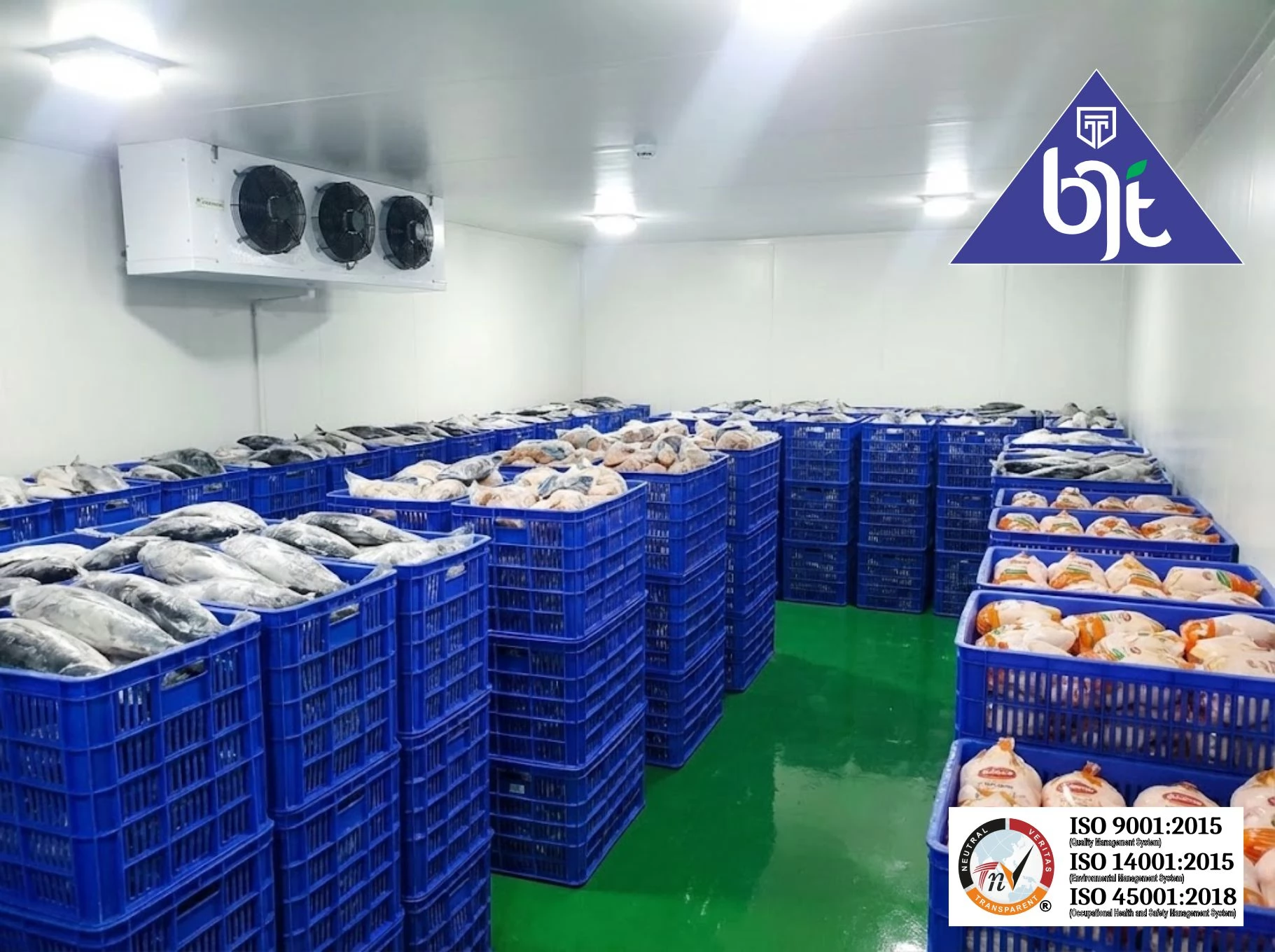 Solusi Cold Storage Kapasitas 5 Ton & 10 Ton